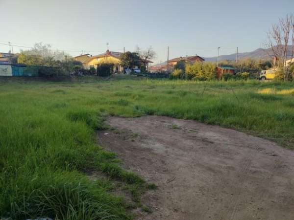 Foto Terreno edif. residenziale in vendita a Luni 2000 mq  Rif: 1227489