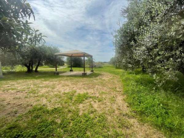 Foto Terreno edif. residenziale in vendita a Micheloni - Montecarlo 1000 mq  Rif: 1266906