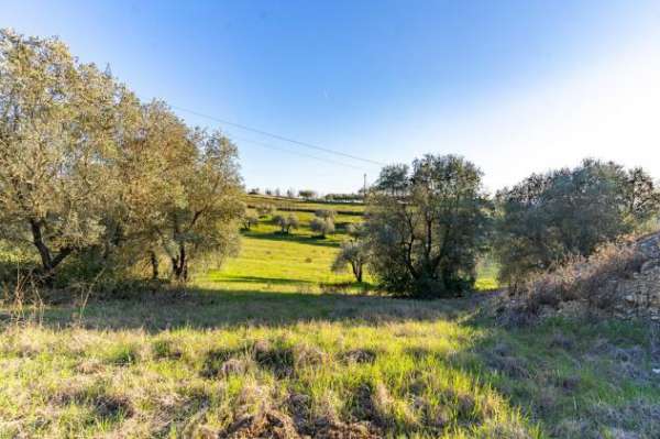 Foto Terreno edif. residenziale in vendita a Montelupo Fiorentino 271 mq  Rif: 1290260