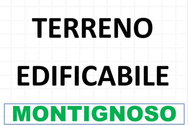 Foto Terreno edif. residenziale in vendita a Montignoso 2000 mq  Rif: 1255881