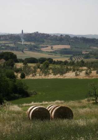 Foto Terreno edif. residenziale in vendita a Peccioli 600 mq  Rif: 1056795
