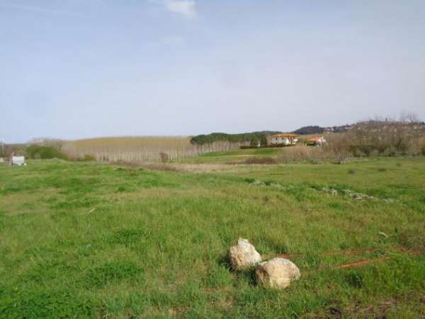 Foto Terreno edif. residenziale in vendita a Selvatelle - Terricciola 500 mq  Rif: 743386