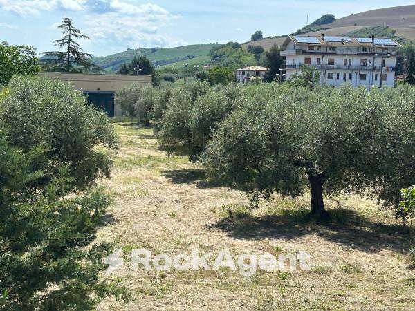 Foto Terreno edificabile artigianale/terziario in vendita a Castiglione Messer Raimondo