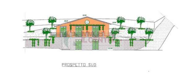 Foto terreno edificabile con progetto per villetta monofamigliare