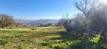 Foto Terreno Edificabile in Vendita, 1 Locale, 1200 mq, Todi (Central