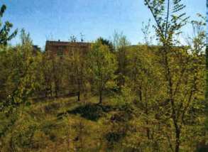 Foto Terreno Edificabile in Vendita, 1 Locale, 1289 mq, San Giorgio P