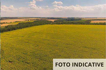 Foto Terreno Edificabile in Vendita, 1 Locale, 16134 mq, Rimini