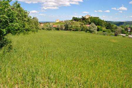 Foto Terreno Edificabile in Vendita, 1 Locale, 2000 mq, Castrocaro Te