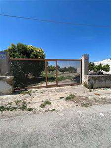 Foto Terreno Edificabile in Vendita, 1 Locale, 2300 mq, Canosa di Pug