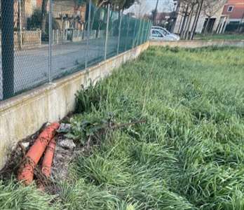 Foto Terreno Edificabile in Vendita, 1 Locale, 2931 mq, Solarolo