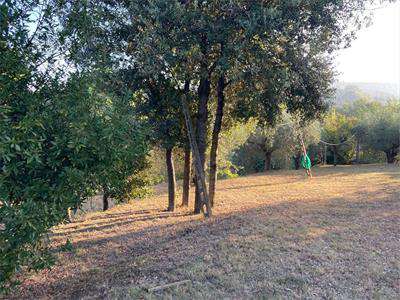 Foto Terreno Edificabile in Vendita, 1 Locale, 2937 mq, Deruta