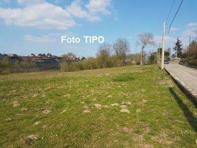 Foto Terreno edificabile in Vendita, 1000 mq (AIELLO DEL SABATO)
