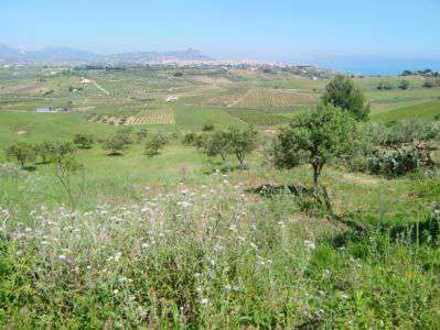 Foto Terreno edificabile in Vendita, 11500 mq (SCIACCA)