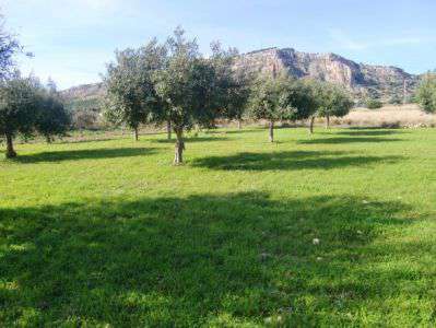 Foto Terreno edificabile in Vendita, 2200 mq (SCIACCA)