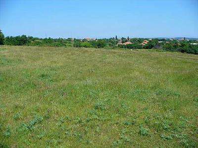 Foto Terreno Edificabile in Vendita, 3000 mq, Forlimpopoli (San Leona