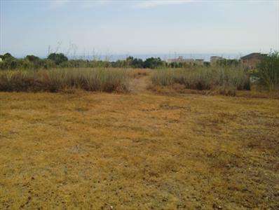 Foto Terreno edificabile in Vendita, 3900 mq (SCIACCA S. ANTONIO)