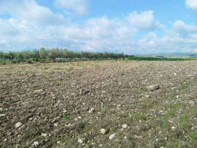 Foto Terreno edificabile in Vendita, 4200 mq (SCIACCA)