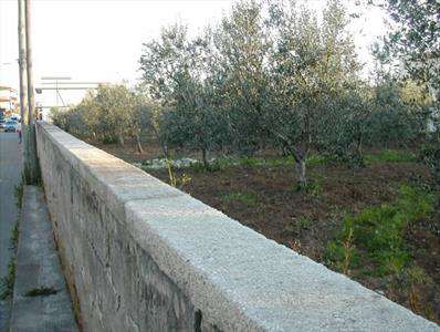 Foto Terreno edificabile in Vendita, 4252 mq (STATTE)