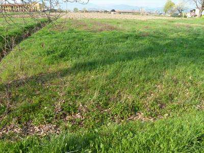 Foto Terreno Edificabile in Vendita, 5 Locali, 750 mq, Porcari
