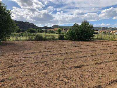 Foto Terreno Edificabile in Vendita, 550 mq, Siniscola