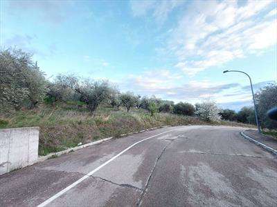 Foto Terreno edificabile in Vendita, 825 mq (CASTEL FRENTANO)