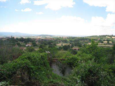 Foto Terreno edificabile in Vendita, 890 mq (MONTEFIASCONE ZEPPONAMI)