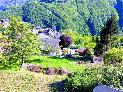 Foto Terreno Edificabile in Vendita, pi� di 6 Locali, 2300 mq, Piedim