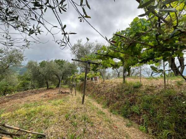 Foto Terreno edificabile in vendita a Arcola