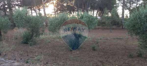 Foto Terreno Edificabile in vendita a Caltagirone