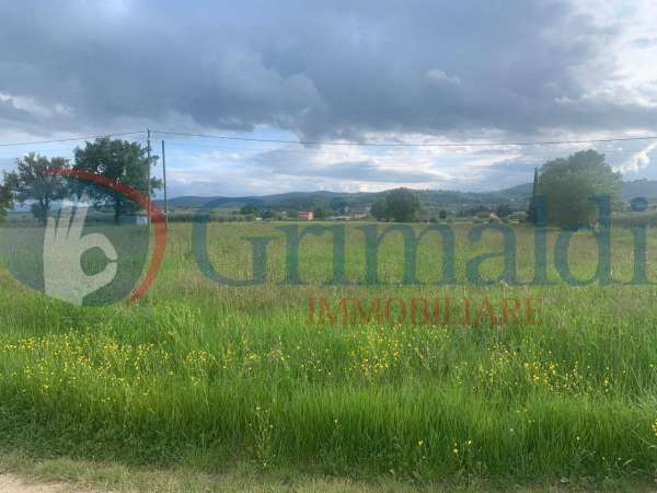 Foto Terreno edificabile in vendita a Cannara
