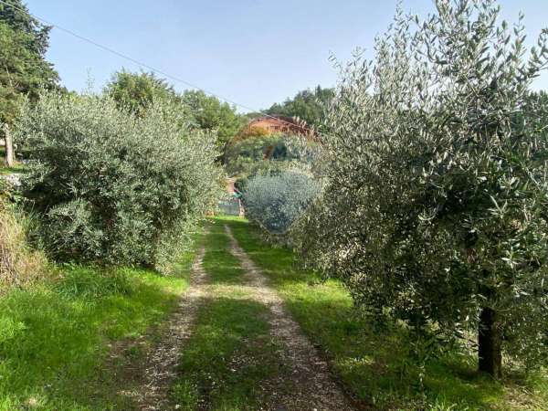 Foto Terreno edificabile in vendita a Citerna