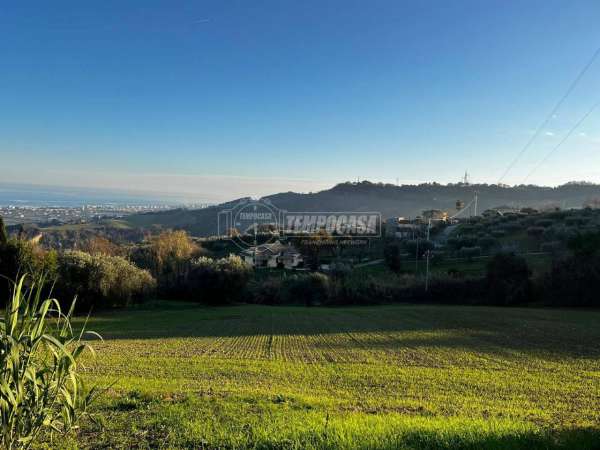 Foto Terreno edificabile in vendita a Colonnella