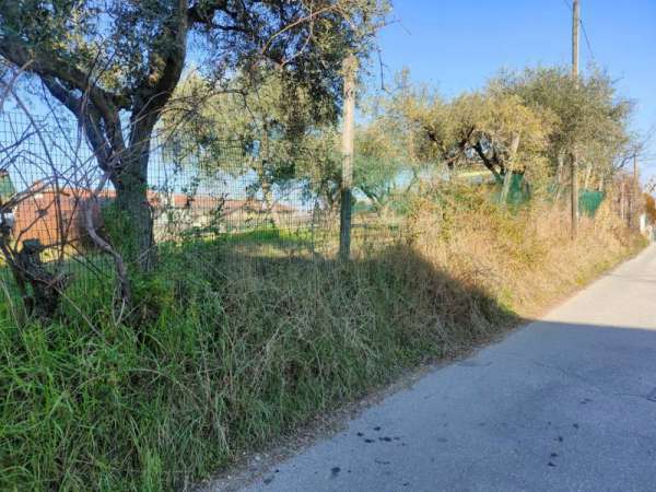 Foto Terreno edificabile in Vendita a Lonato del Garda