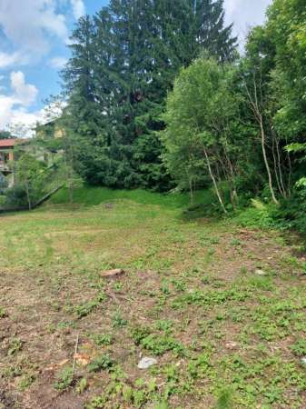 Foto Terreno edificabile in vendita a Magreglio