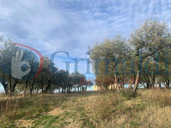 Foto Terreno edificabile in vendita a Montefalco
