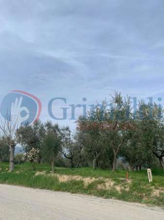 Foto Terreno edificabile in vendita a Montefalco