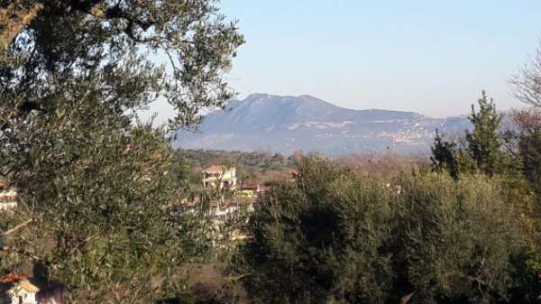 Foto Terreno edificabile in vendita a Morlupo