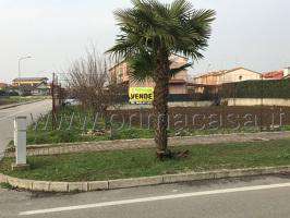 Foto Terreno edificabile in vendita a Pressana