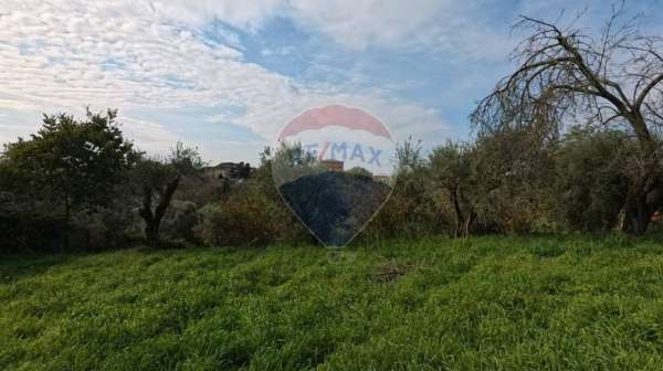Foto Terreno edificabile in vendita a Roma