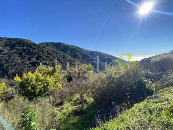 Foto Terreno edificabile in vendita a Seborga