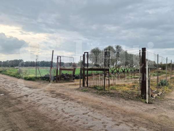 Foto Terreno edificabile in vendita a Sestu