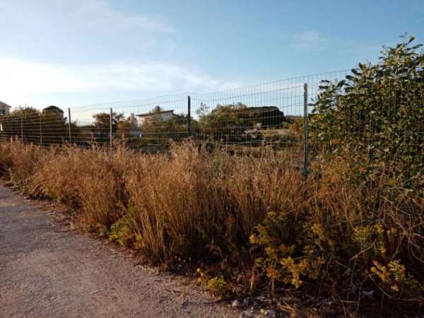 Foto Terreno edificabile in vendita a Siracusa