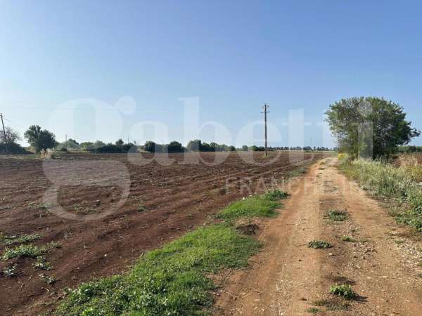 Foto Terreno edificabile in vendita a Siracusa