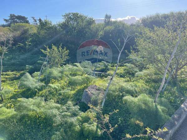 Foto Terreno edificabile in vendita a Terrasini