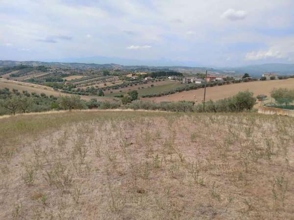 Foto Terreno edificabile in vendita a Tortoreto