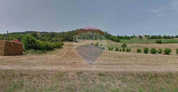 Foto Terreno edificabile in vendita a Travo