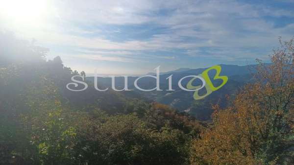 Foto Terreno edificabile in vendita a Vallebona