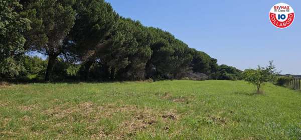Foto Terreno edificabile residenziale in vendita a Ardea