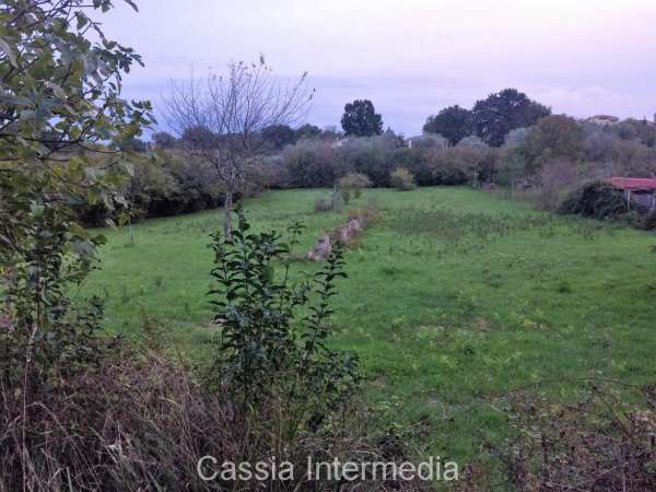 Foto Terreno edificabile residenziale in vendita a Castel Sant'Elia