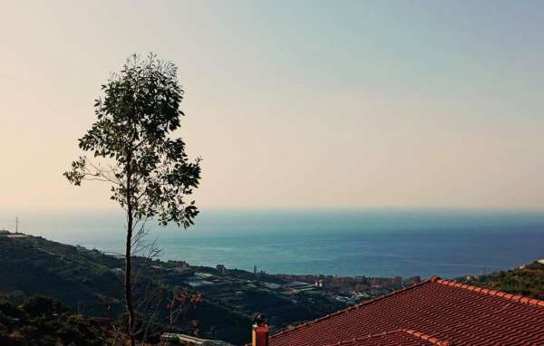 Foto Terreno edificabile residenziale in vendita a Castellaro